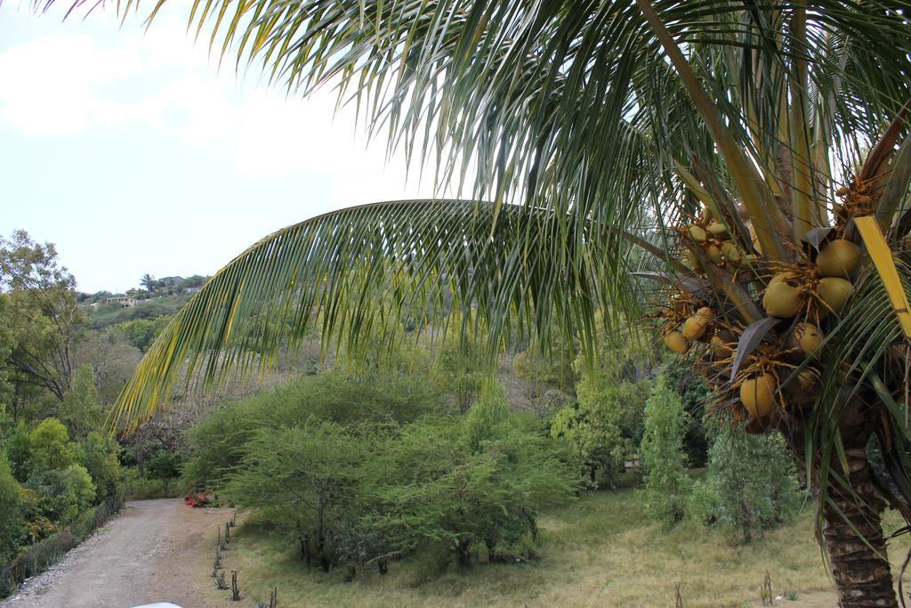 Villa Le Chapo Port Mathurin Camera foto